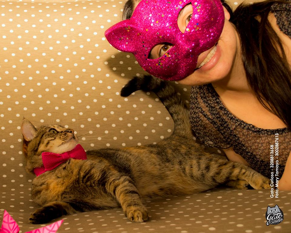 Hábitos graciosos de Catlovers